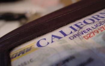 California Drivers License