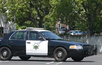 Walnut Creek Arrest